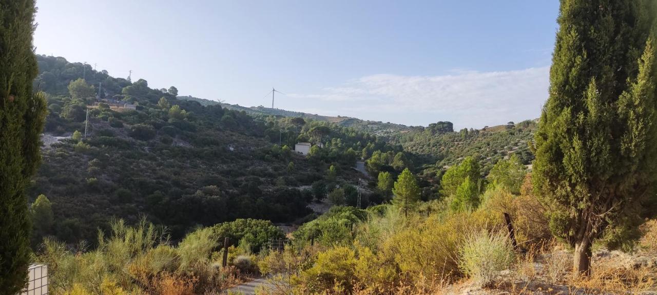 Casas Rurales Las Vinas Osuna Luaran gambar